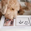 Pearhead Best Friends Forever -kehys – Lapsi & Lemmikki