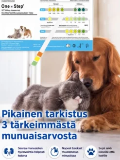 Kidney Check Munuaistesti eläimille 1 kpl