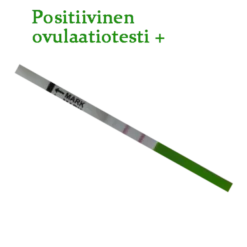 Ovulaatiotesti liuskat – Edullinen ja luotettava LH-ovulaatiotesti