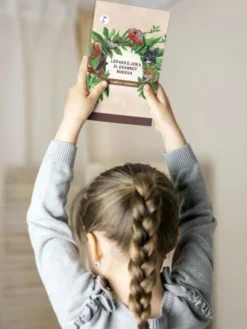Satukortit - Lepakko, joka ei osannut nukkua