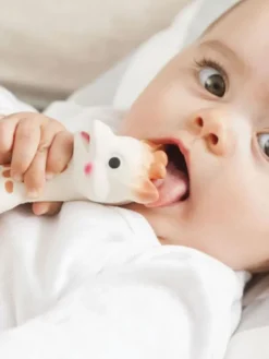 SOPHIE THE GIRAFFE luomupurulelu
