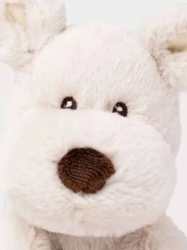 TEDDYKOMPANIET Teddy Mocca 25cm – beige pehmokoira
